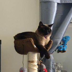 Meet your Posher, Stephannie